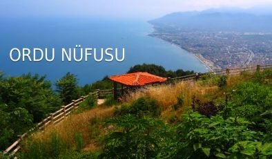 2024 Yılı Nüfus Verileri Açıklandı